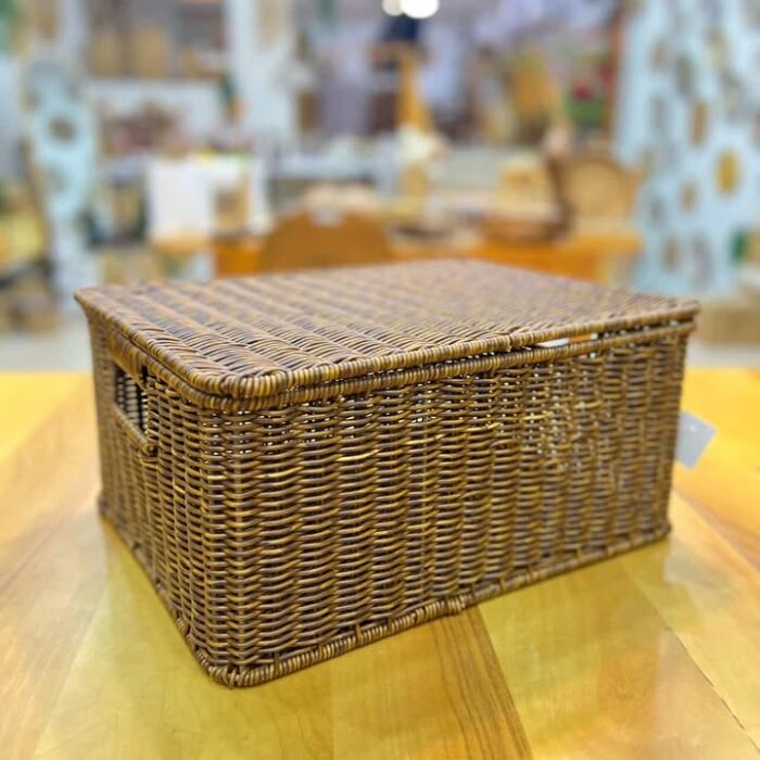 Dikdörtgen Kapaklı Küçük Boy Sepet