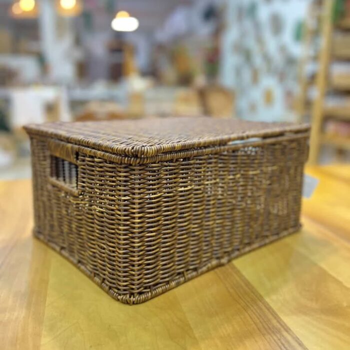 Dikdörtgen Kapaklı Orta Boy Sepet